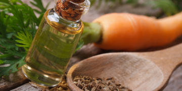 Carrot Seed Oil or Extract (Vitamin A) (Retinol) (Daucus Carota Sativa Root Extract or Seed Oil)