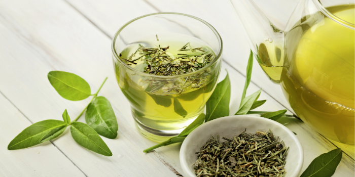 Green Tea Extract (Camellia sinensis)