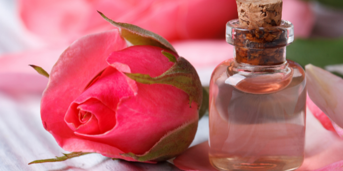 Rose Extract (Rosa Damascena Flower Extract)
